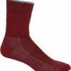 Icebreaker Hike Medium Crew Socks - Women's