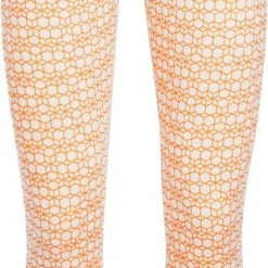 Icebreaker 250 Vertex Base Layer Leggings - Women's